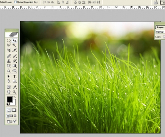 Glossy Grass Login Panel